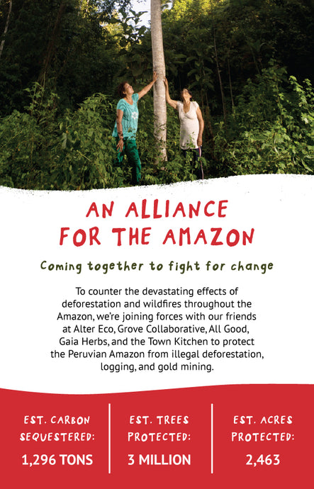 AN ALLIANCE FOR THE AMAZON: JOINING TOGETHER TO FIGHT FOR CHANGE SEPTEMBER 06, 2019 ﻿AN ECOSYSTEM IN NEED