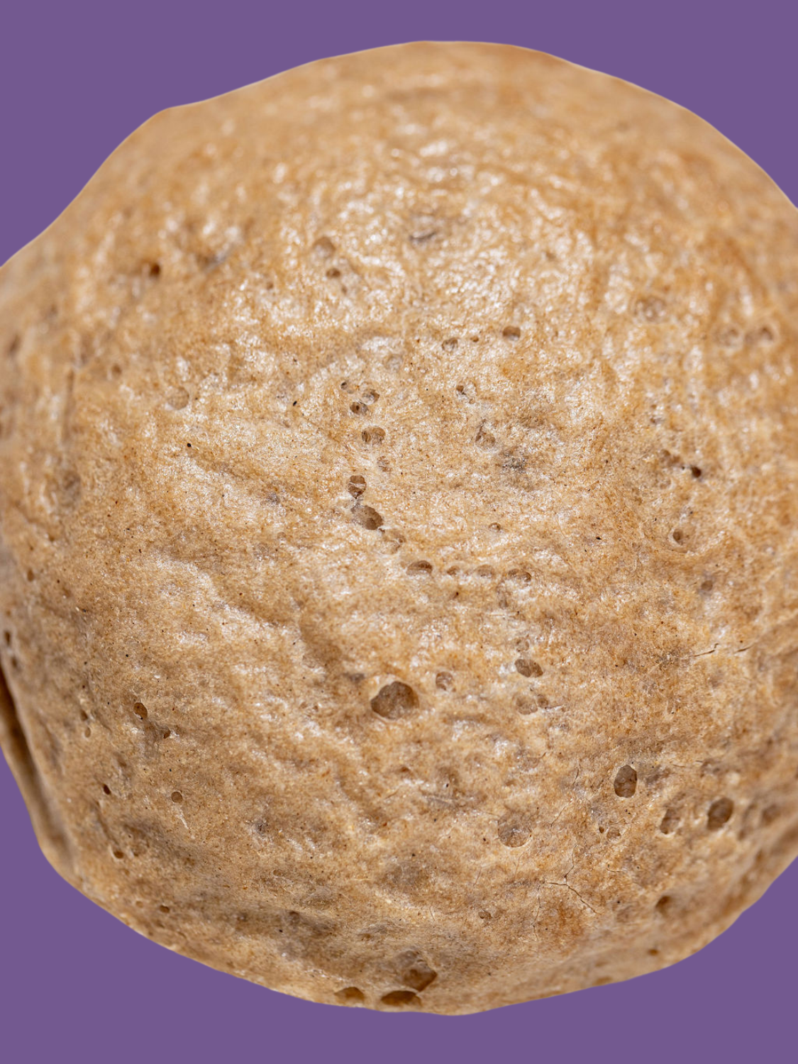 Close up shot of Bread SRSLY gluten-free sourdough sandwich roll on a purple background. Suitable for gluten-free burger buns.