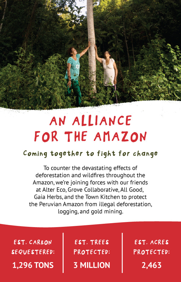 AN ALLIANCE FOR THE AMAZON: JOINING TOGETHER TO FIGHT FOR CHANGE SEPTE ...