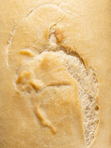 Close up shot of Bread SRSLY gluten-free sourdough bread.