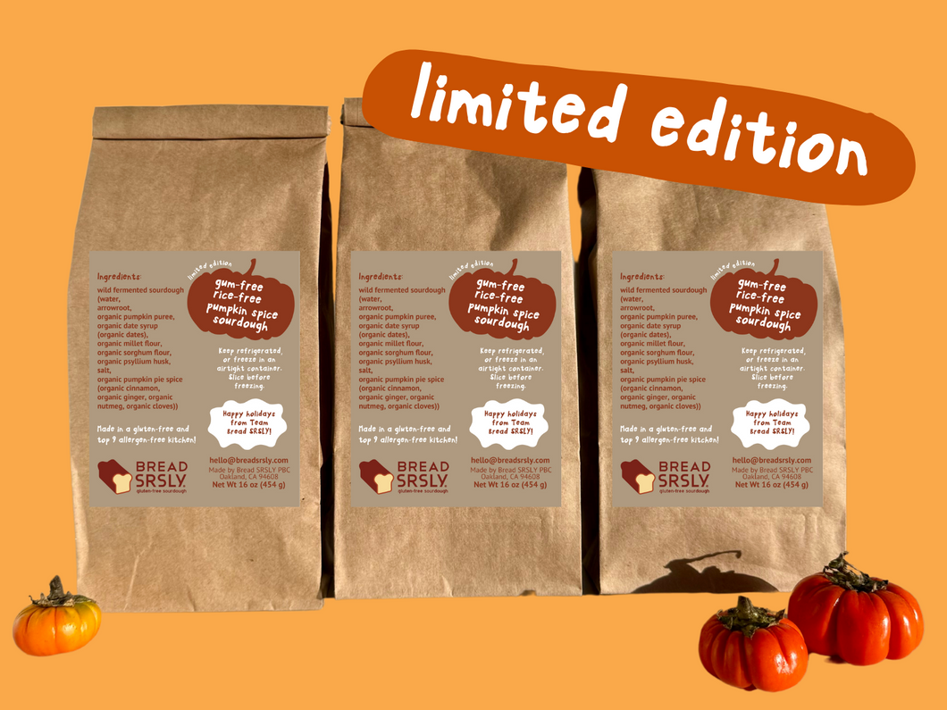 Pumpkin Spice Gluten-Free Sourdough Loaf - 3 Pack (Gum-Free, Rice-Free)